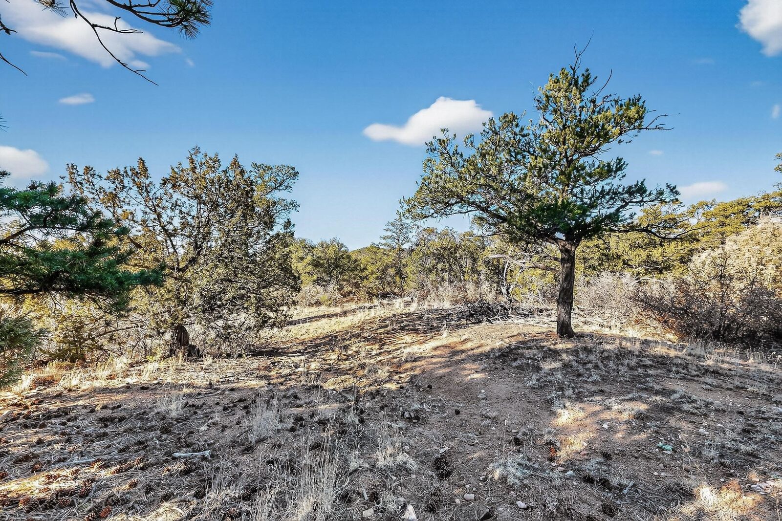 Property Photo: 0 La Posta Way Tract 7-2 NM 87505