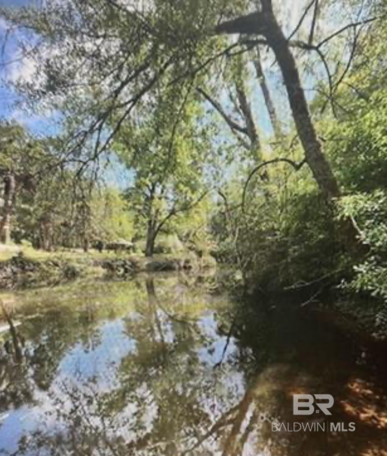 Property Photo: 0 W Woodhaven Dairy Road AL 36576