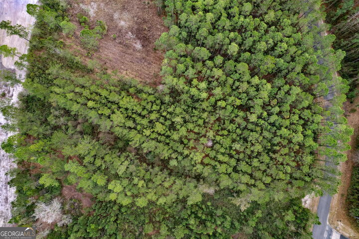 Property Photo:  Lot 94 Waverly West Lane  GA 31568 