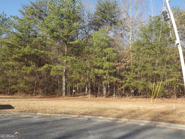 Property Photo: Lot 3 Skyview Street GA 30125