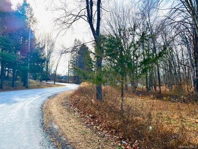 Property Photo:  56 Route 209  NY 12771 