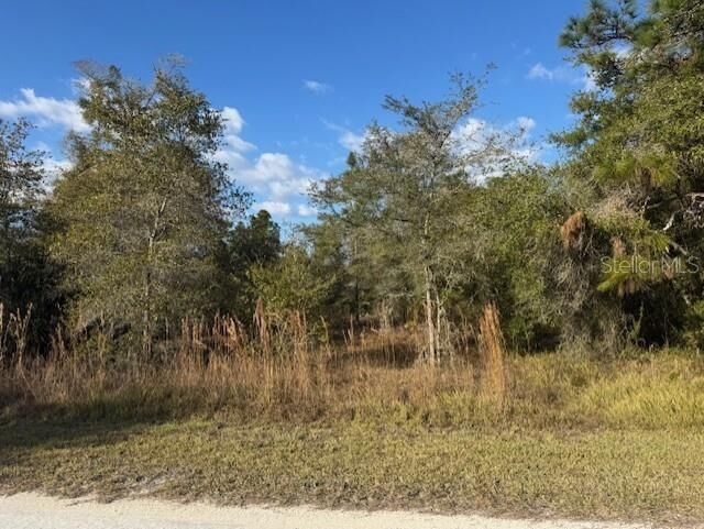 Property Photo:  35367 Kramer Street  FL 33597 