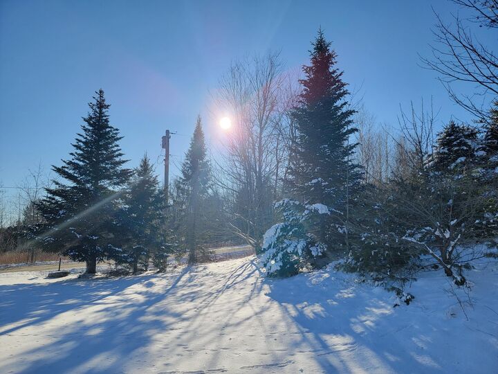 Property Photo:  1244 Gary Moore Road  ME 04605 