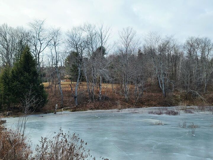 Property Photo:  1244 Gary Moore Road  ME 04605 