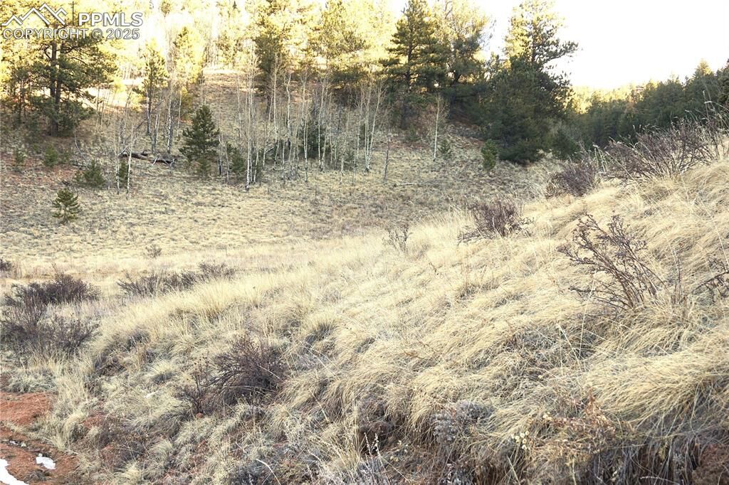 Property Photo:  637 Valley Road  CO 80814 