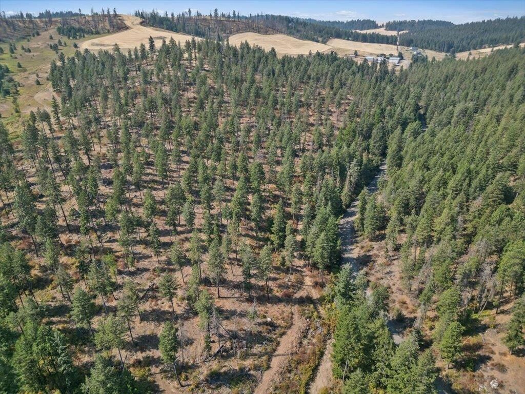 Property Photo: Nka W Ballard Rd Lot 2-A WA 99208