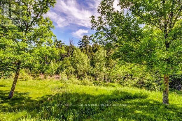 Property Photo:  415 Pickering Crescent  ON L3Y 8G8 