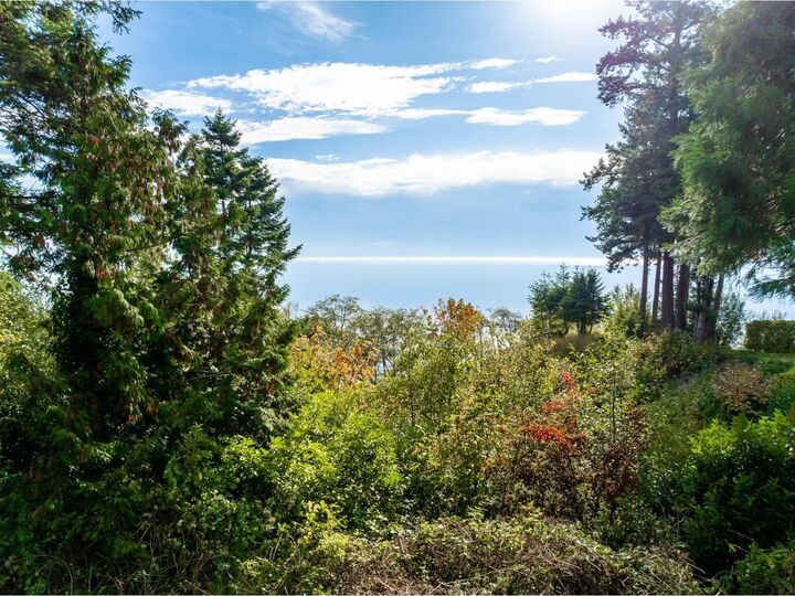 Property Photo:  13536 13A Avenue  BC V4A 1C4 