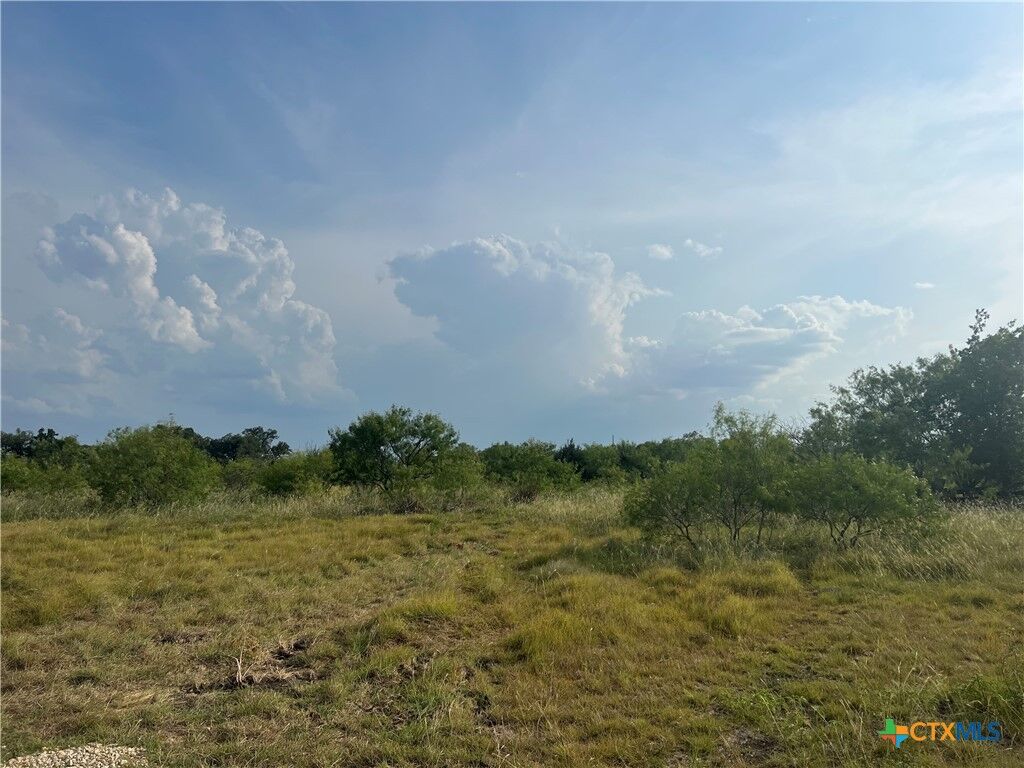 Property Photo:  Tbd County Road 421  TX 76525 
