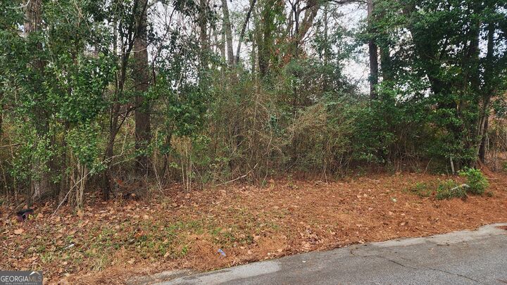 Property Photo:  0 Champion Drive  GA 31211 