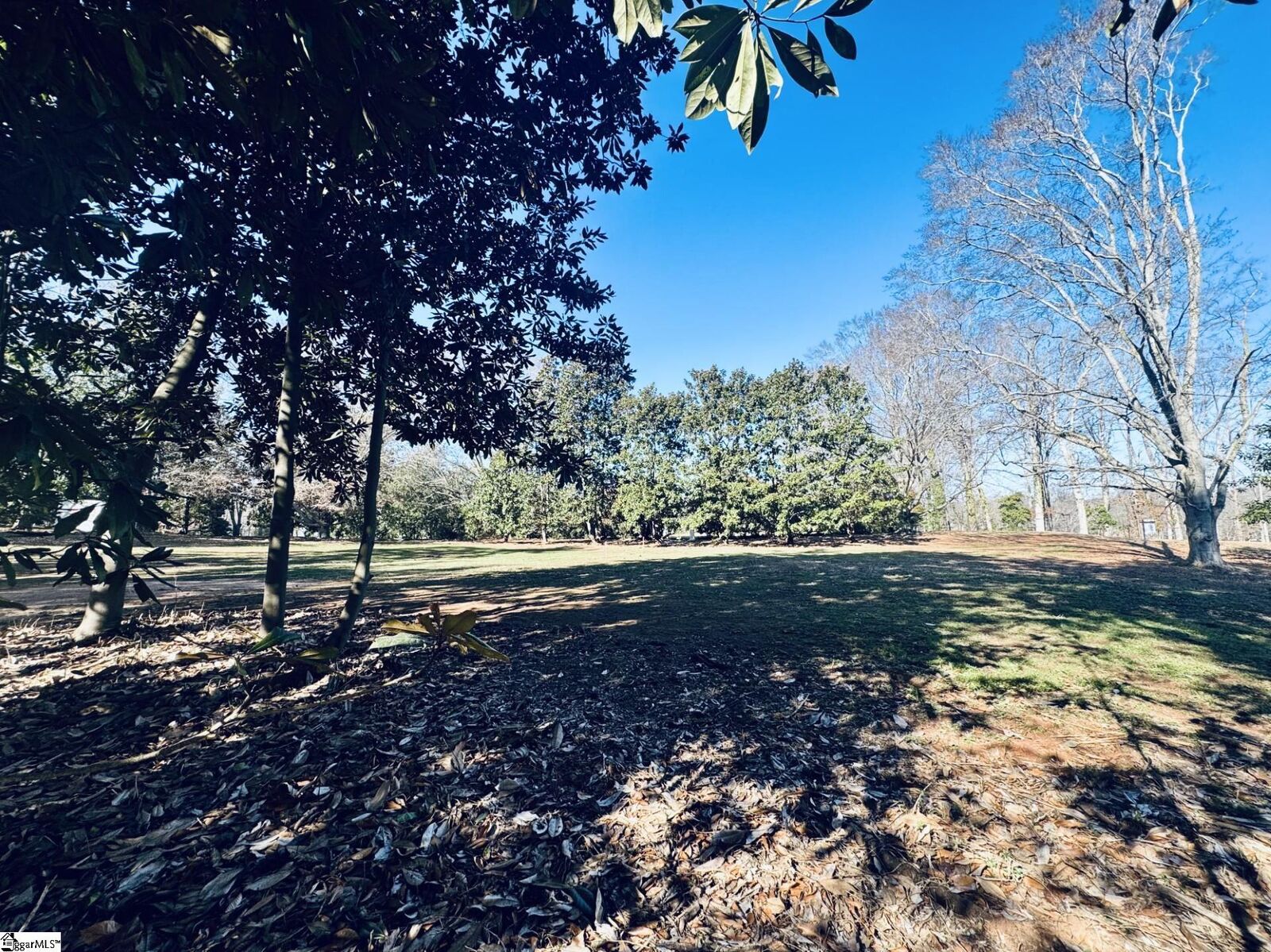 Property Photo:  00 Forest View Drive Lot #2  SC 29605 
