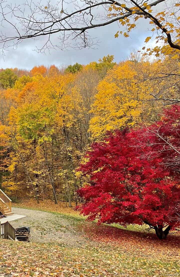 Property Photo:  198 Pleasant Ridge Road  NY 12570 