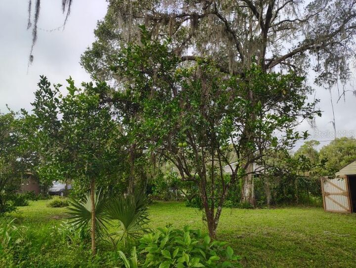 Property Photo:  20621 SE Highway 42  FL 32784 