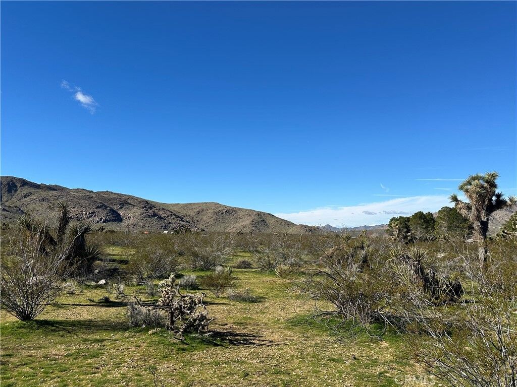 Property Photo:  0 Cahuilla Road  CA 92307 