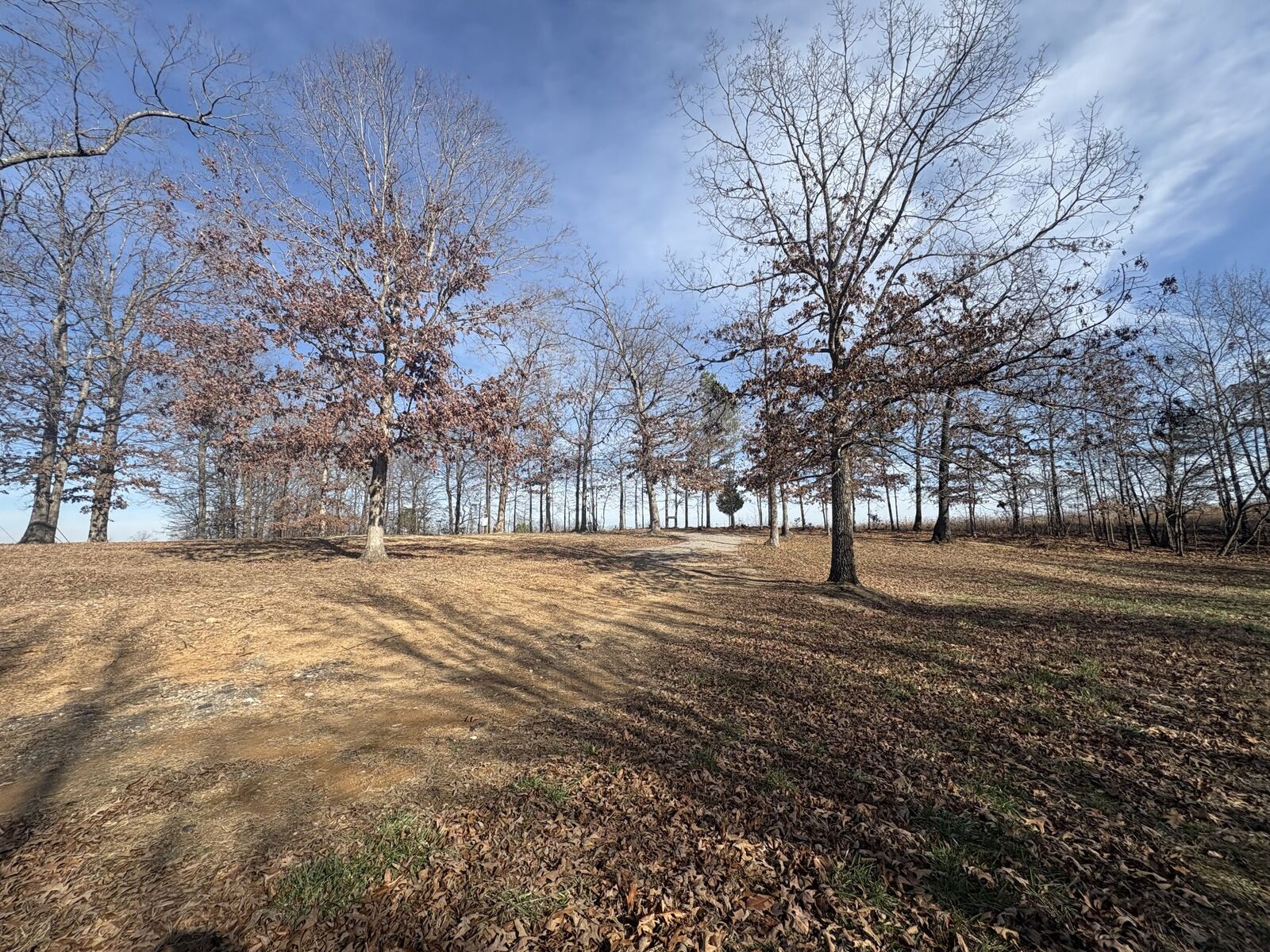 Property Photo: 379 Seven Mile Ridge Rd TN 37079
