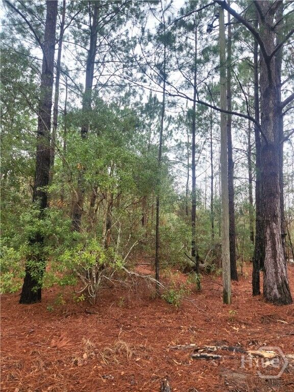 Property Photo:  351 Poplar  GA 31321 