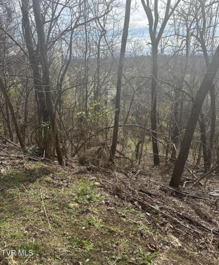 Property Photo:  322 Bayberry Drive  TN 37663 