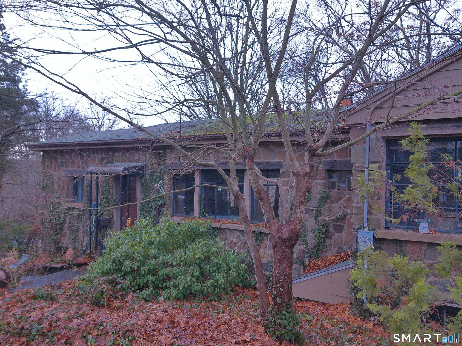 Property Photo: 406 Strong Street CT 06512