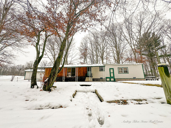 Property Photo: 8933 E M 20 MI 49421