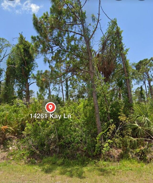 Property Photo: 14261 Kay Lane FL 33981