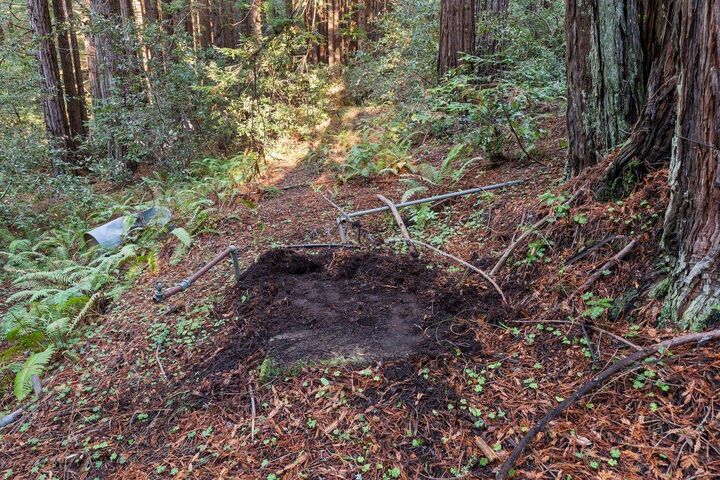 Property Photo:  3936 Tunitas Creek Road  CA 94019 