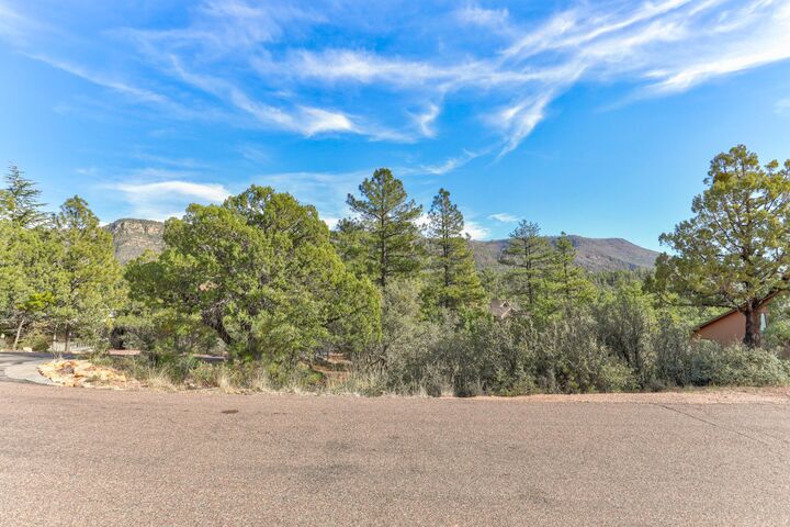 Property Photo:  Lot 171 N Trails End Drive  AZ 85544 