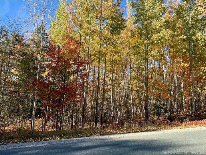 Property Photo:  Lot 96-1 Hilltop Road  NB E9E 1R9 