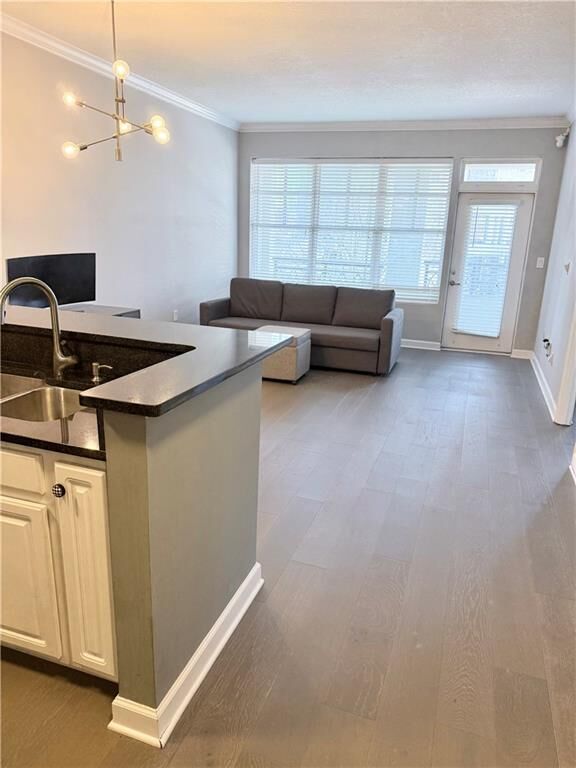 Property Photo:  1101 Juniper Street NE 525  GA 30309 