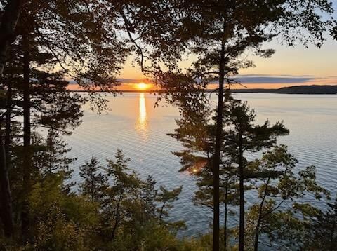 Property Photo:  L2 Oakwood Avenue  WI 54941 