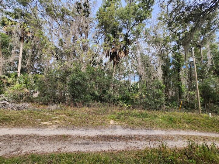 Property Photo: Tbd NE 164th Place FL 32113