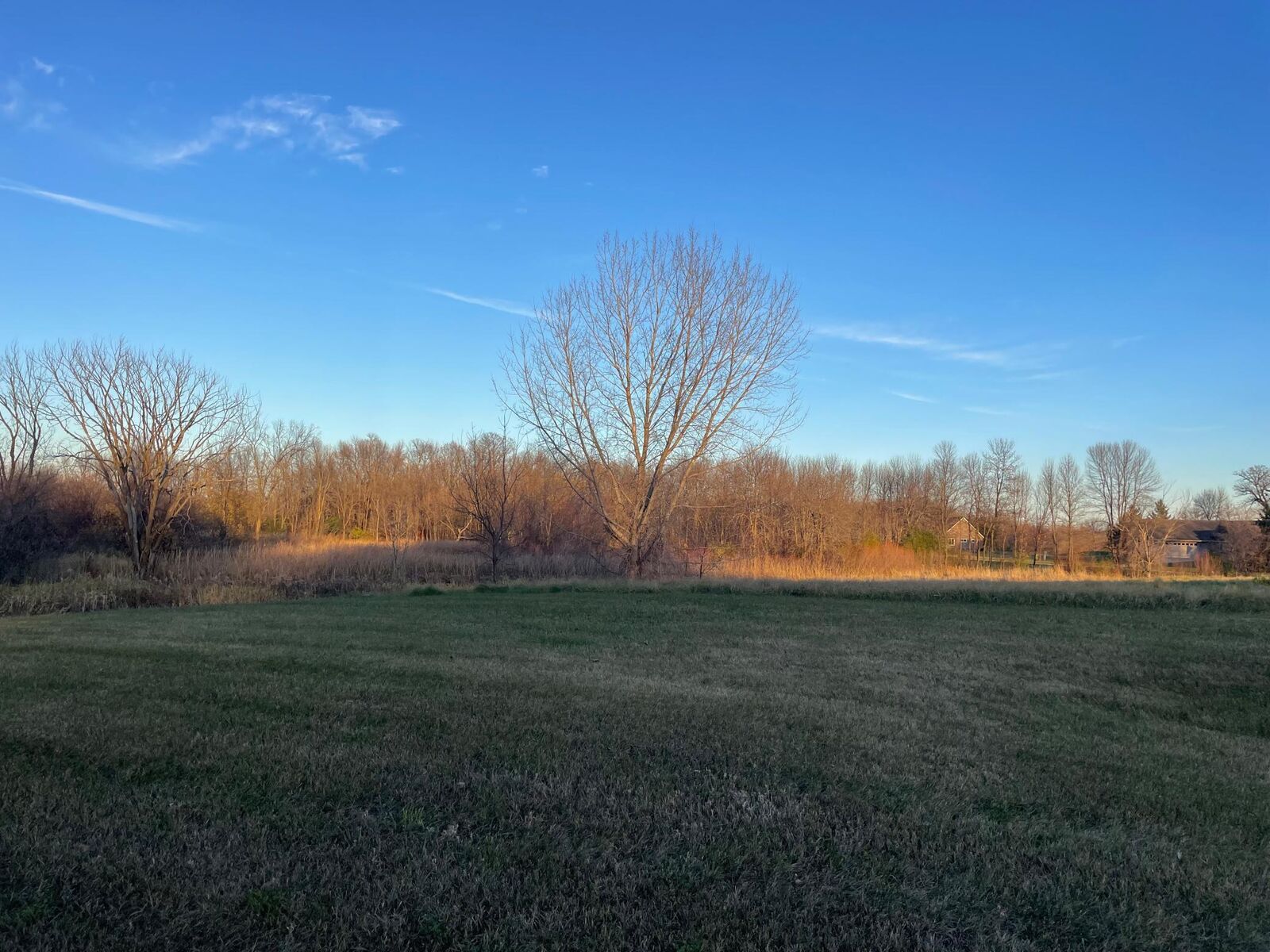 Property Photo:  Lot 11 Block 1 Donway Place NE  MN 56308 