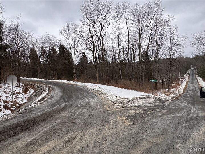 Property Photo:  102 Beech Hill Road  NY 14867 