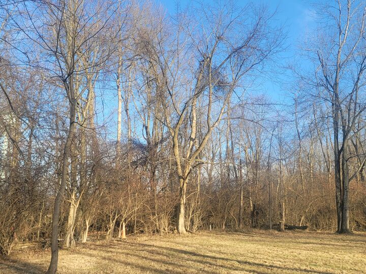 Property Photo:  7326 Ohio 19  OH 43338 