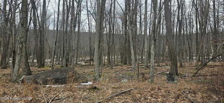 Property Photo: 214 Chippewa Drive PA 18202