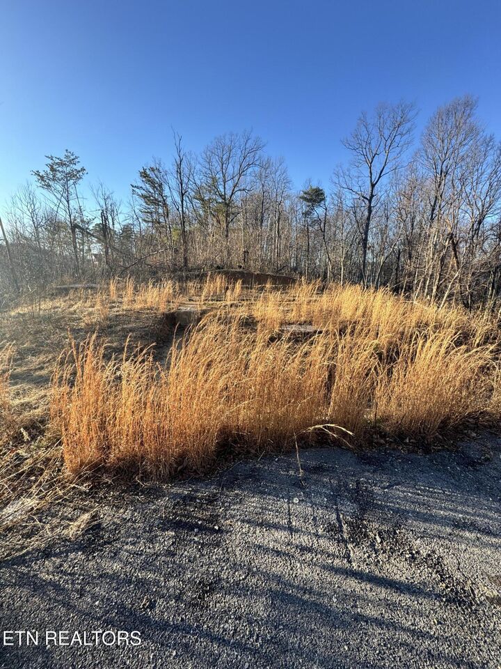 Property Photo:  3361 Sugar Maple Loop Rd  TN 37862 