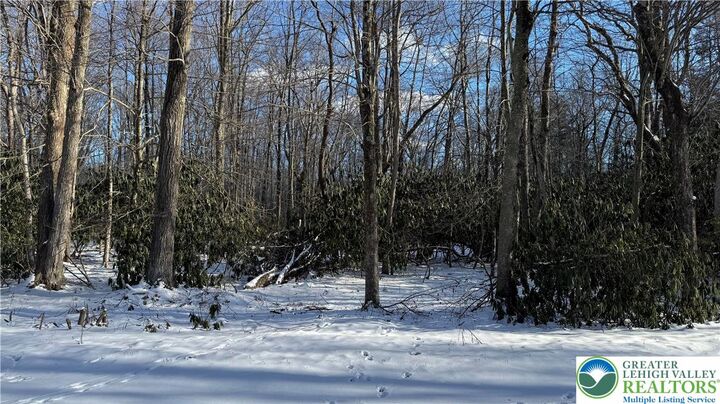 Property Photo:  Oakland Drive  PA 18210 