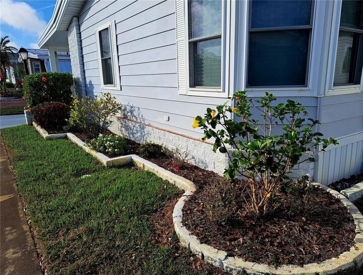 Property Photo: 116 Maple Leaf Drive FL 34684