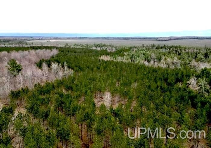 Property Photo:  Tbd West Round Lake Road  MI 49878-0000 