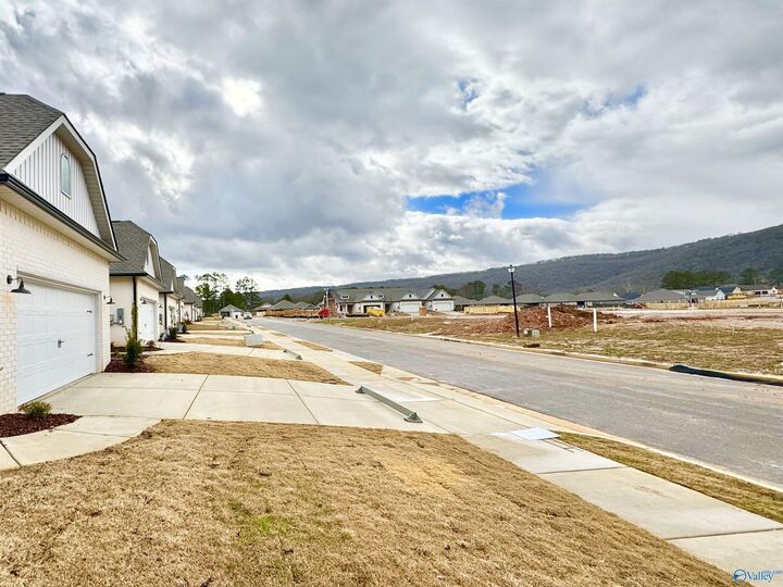 Property Photo:  6073 Gardner Maples Drive  AL 35763 