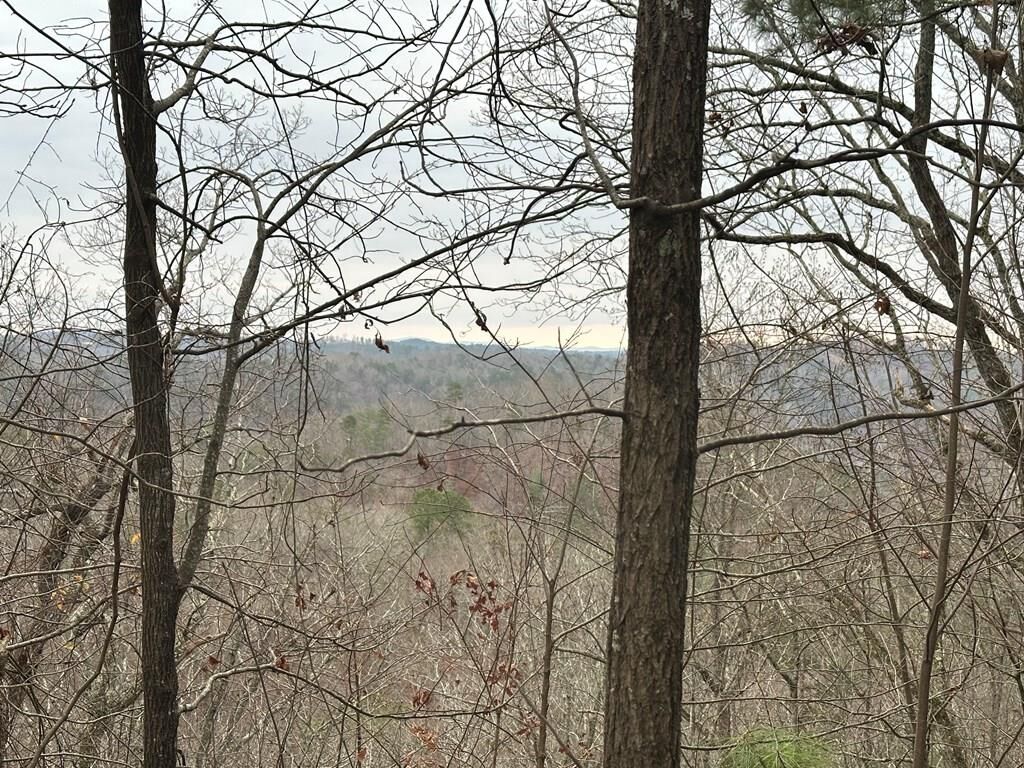 Property Photo:  306 Oberlin Court  GA 30734 