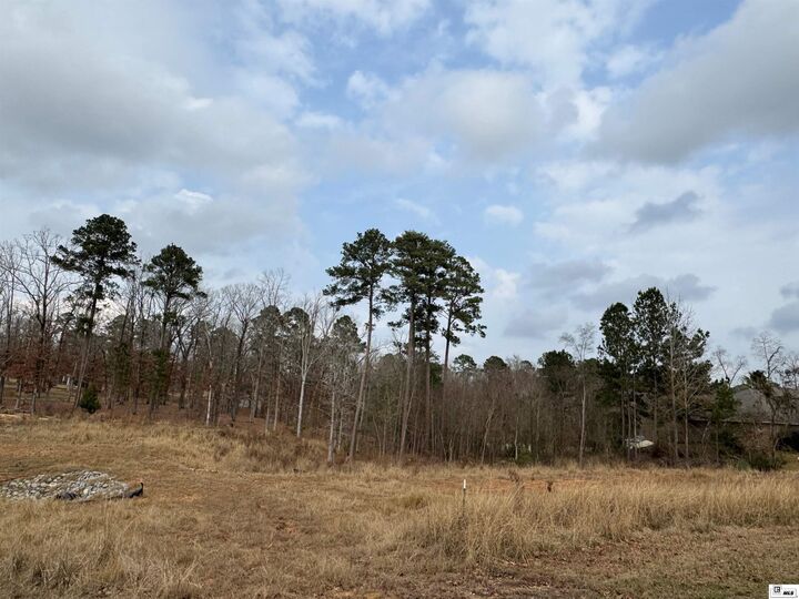 Property Photo:  107 Bonnabel Place  LA 71291 