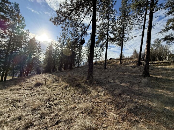 Property Photo:  Tbd Adams St  WA 99166 