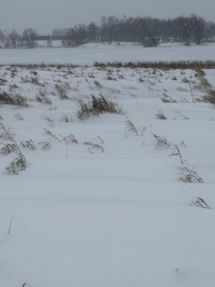 Property Photo:  Tbd 395th  MN 56528 