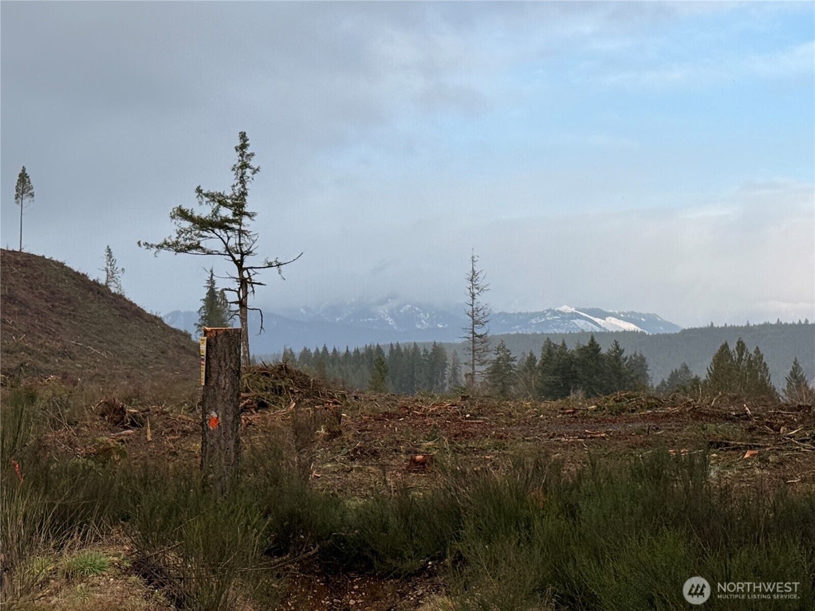 Property Photo:  1 Xx  West California Road  WA 98584 