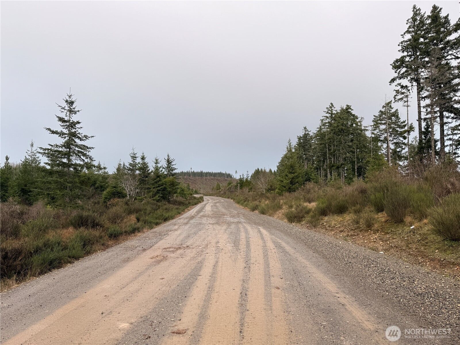Property Photo:  1 Xx  West California Road  WA 98584 