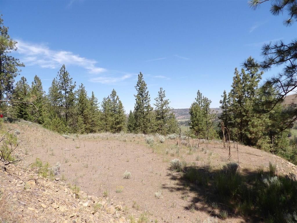 Property Photo: Lot 2 Chukar Short Plat Ln WA 99122