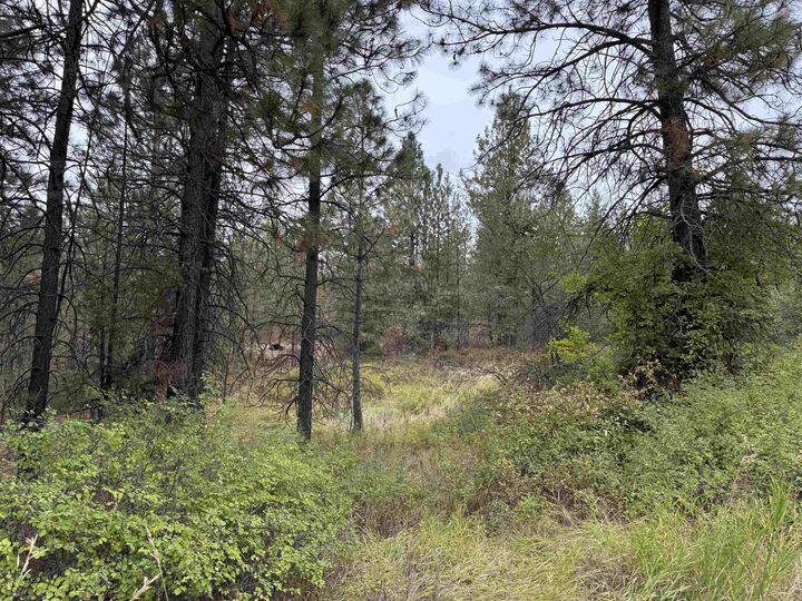 Property Photo:  15211 N Wood Rd  WA 99026 