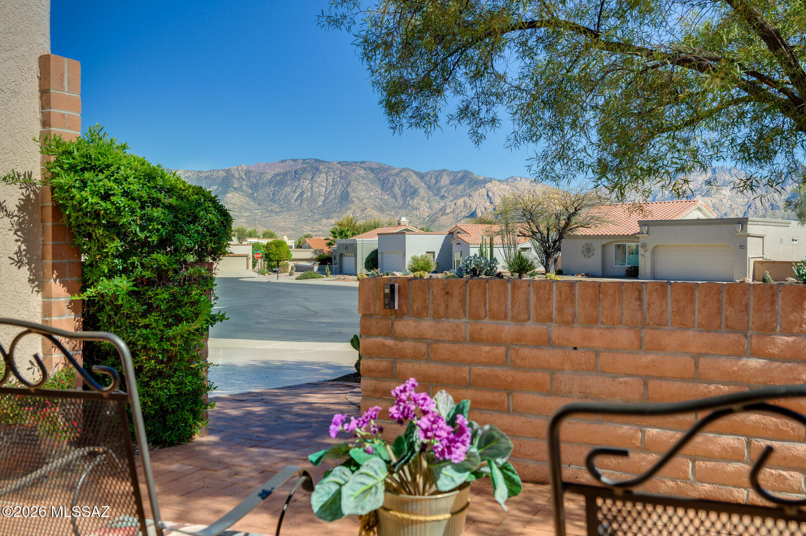Property Photo:  1631 E Firefly Court  AZ 85755 