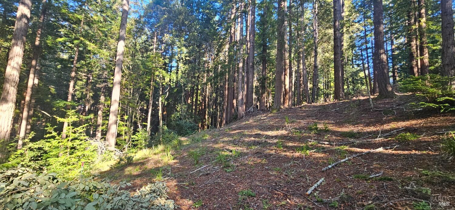 Property Photo:  22107 Ruoff Road  CA 95450 