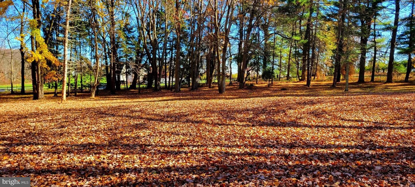 Property Photo:  1616 Meadow Lane  PA 19342 